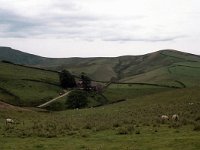 Peak District 11